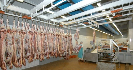 Дезинсекция на мясокомбинате в Электростале, цены на услуги
